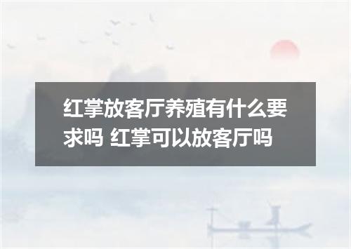 红掌放客厅养殖有什么要求吗 红掌可以放客厅吗