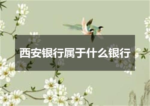西安银行属于什么银行