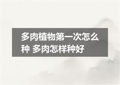 多肉植物第一次怎么种 多肉怎样种好