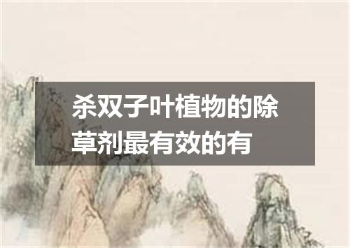 杀双子叶植物的除草剂最有效的有