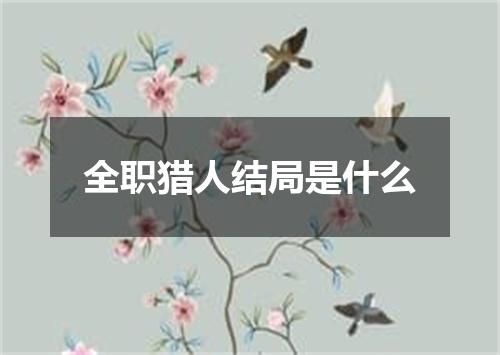 全职猎人结局是什么