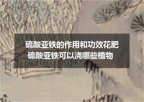 硫酸亚铁的作用和功效花肥 硫酸亚铁可以浇哪些植物