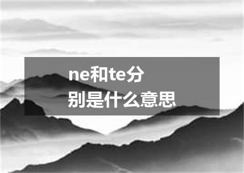 ne和te分别是什么意思