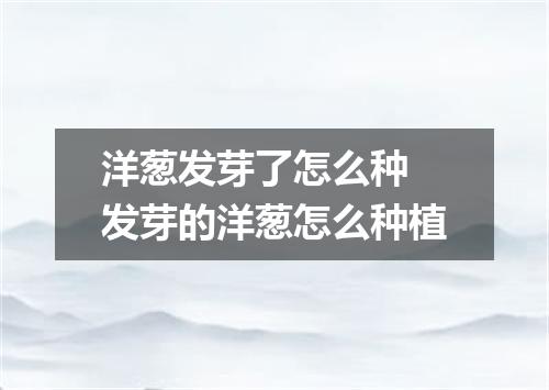 洋葱发芽了怎么种 发芽的洋葱怎么种植