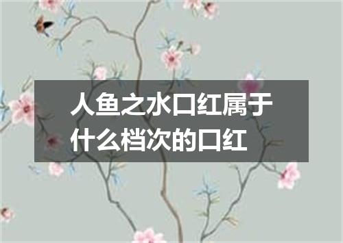 人鱼之水口红属于什么档次的口红