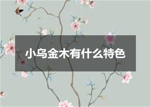 小乌金木有什么特色