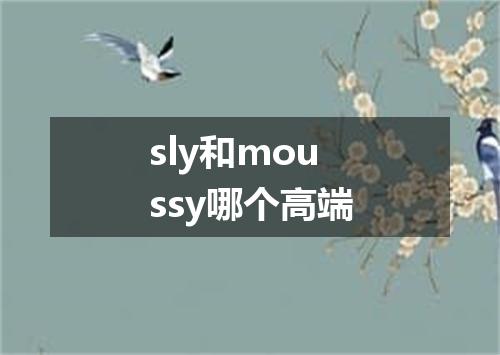 sly和moussy哪个高端