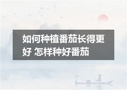 如何种植番茄长得更好 怎样种好番茄