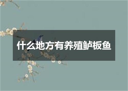 什么地方有养殖鲈板鱼