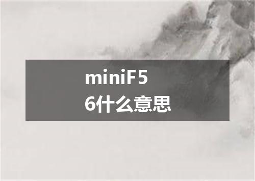 miniF56什么意思