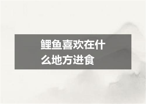 鲤鱼喜欢在什么地方进食