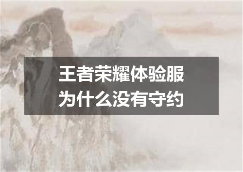 王者荣耀体验服为什么没有守约