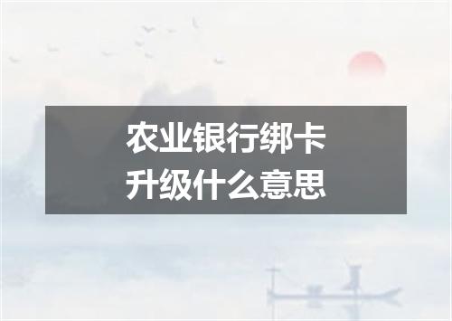 农业银行绑卡升级什么意思