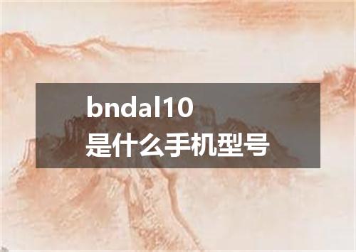 bndal10是什么手机型号