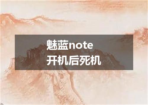 魅蓝note开机后死机