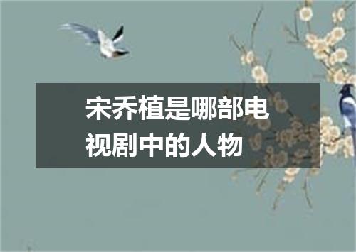 宋乔植是哪部电视剧中的人物