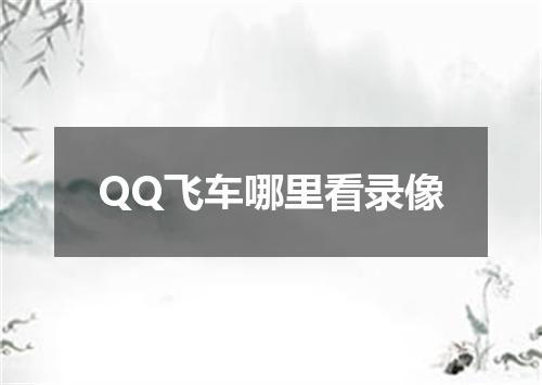 QQ飞车哪里看录像