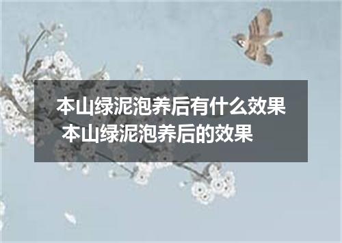 本山绿泥泡养后有什么效果 本山绿泥泡养后的效果