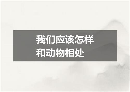 我们应该怎样和动物相处
