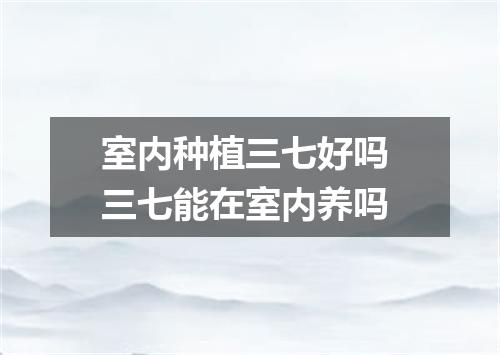 室内种植三七好吗 三七能在室内养吗