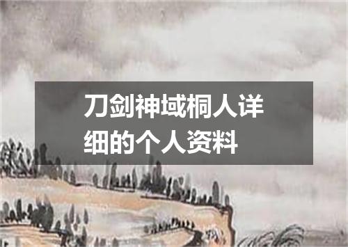 刀剑神域桐人详细的个人资料