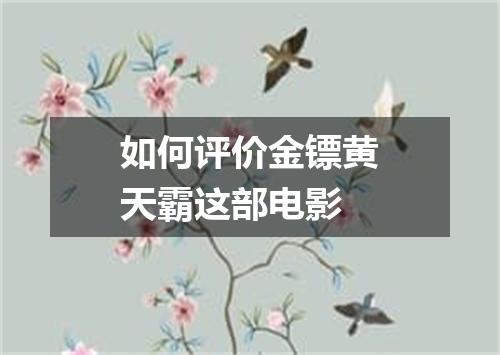 如何评价金镖黄天霸这部电影
