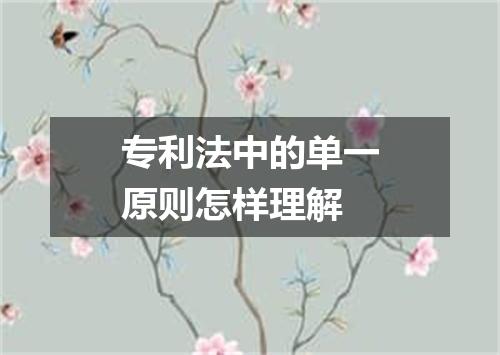 专利法中的单一原则怎样理解