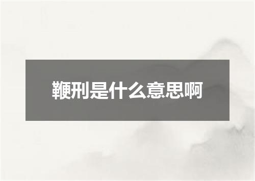 鞭刑是什么意思啊
