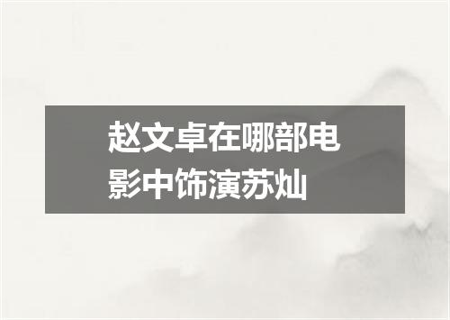 赵文卓在哪部电影中饰演苏灿