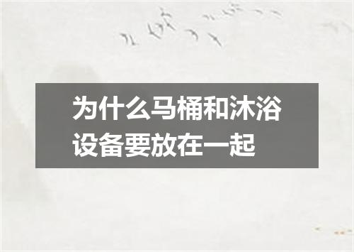 为什么马桶和沐浴设备要放在一起