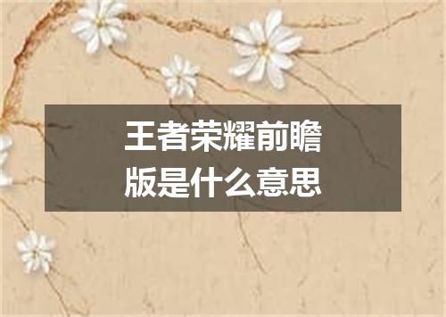 王者荣耀前瞻版是什么意思