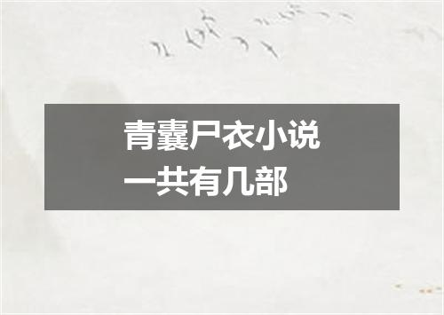 青囊尸衣小说一共有几部
