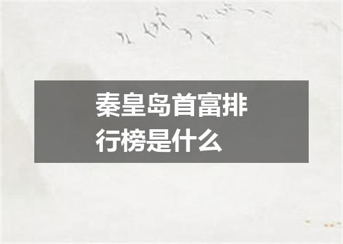 秦皇岛首富排行榜是什么