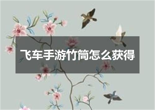 飞车手游竹筒怎么获得