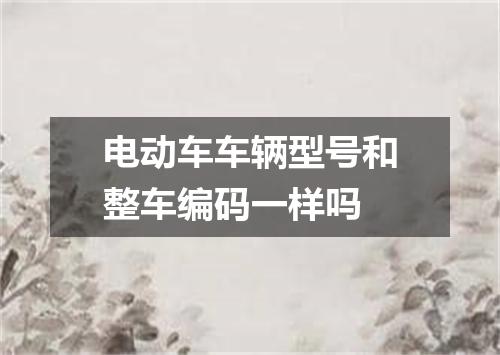 电动车车辆型号和整车编码一样吗