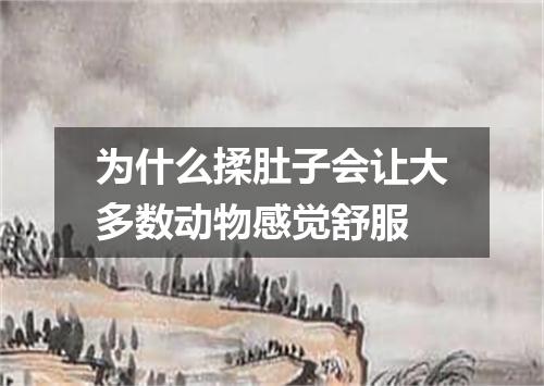 为什么揉肚子会让大多数动物感觉舒服