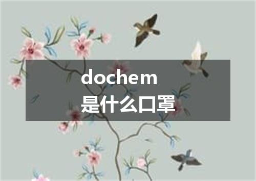 dochem是什么口罩