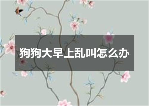 狗狗大早上乱叫怎么办