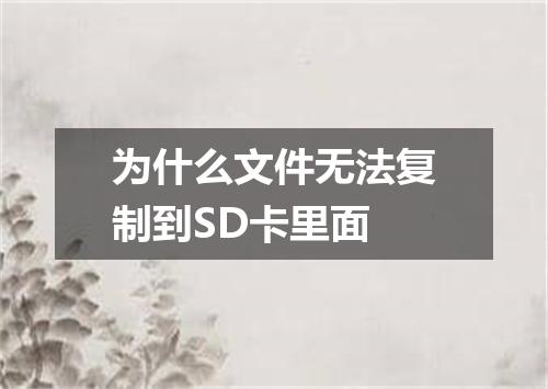 为什么文件无法复制到SD卡里面