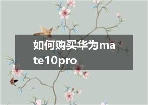如何购买华为mate10pro
