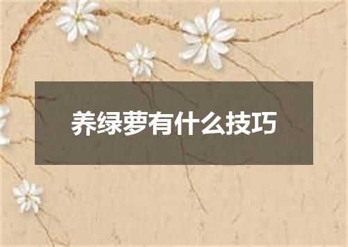 养绿萝有什么技巧