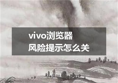vivo浏览器风险提示怎么关