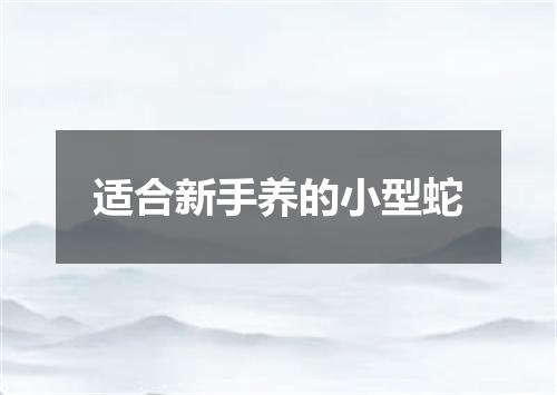 适合新手养的小型蛇
