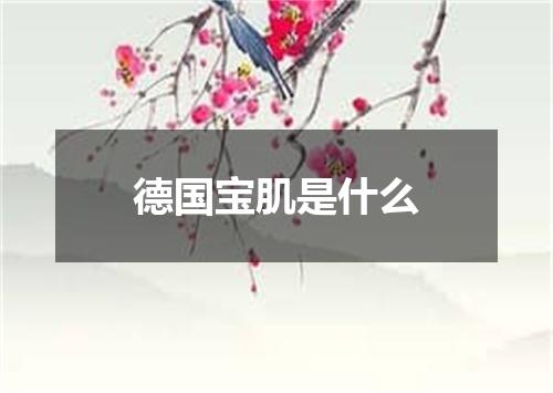 德国宝肌是什么