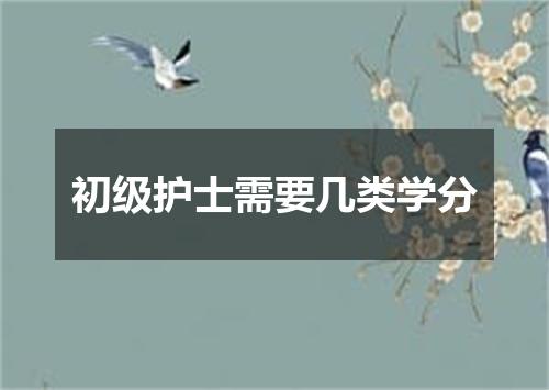 初级护士需要几类学分