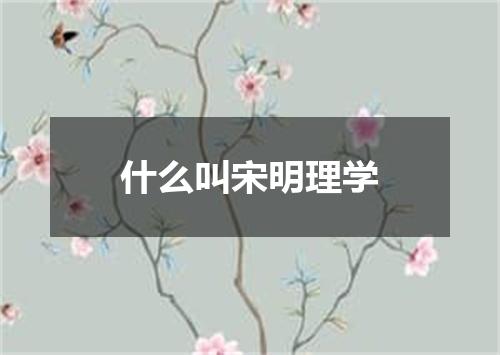 什么叫宋明理学