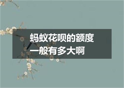 蚂蚁花呗的额度一般有多大啊