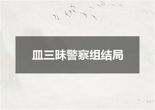 皿三昧警察组结局