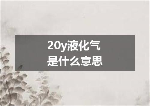 20y液化气是什么意思