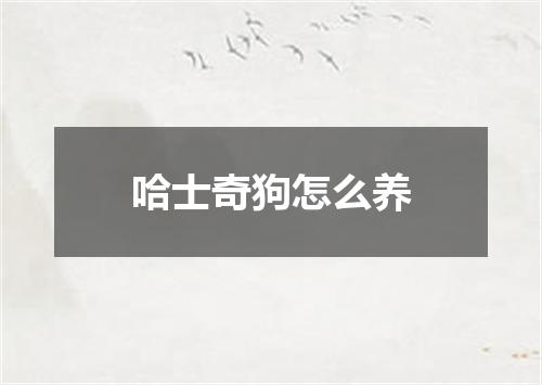 哈士奇狗怎么养